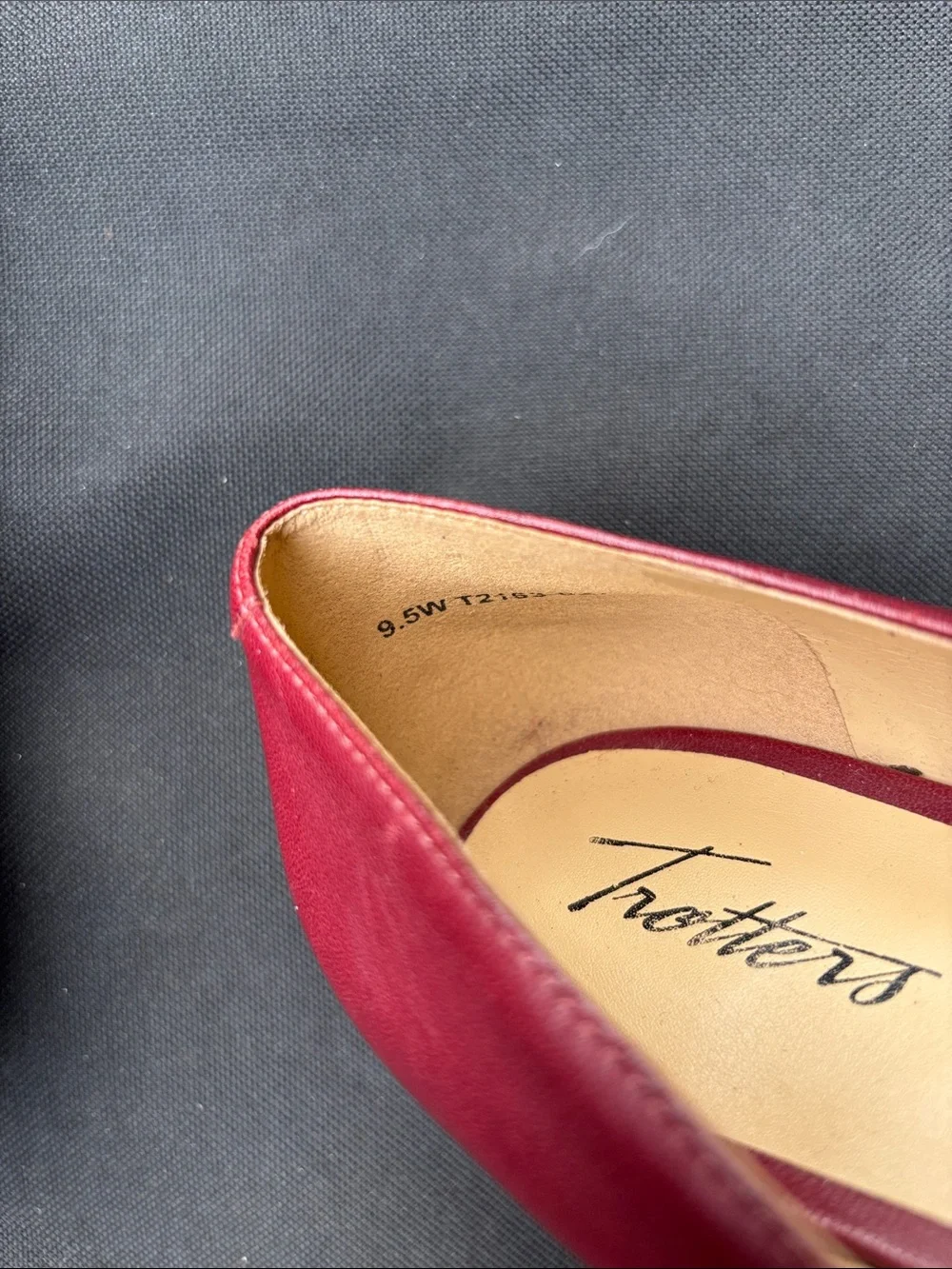 Trotters sleek pointed